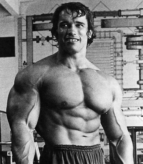 arnold schwarzenegger workout pictures. arnold schwarzenegger workout